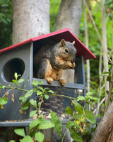 JCS Wildlife