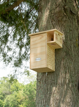 JCS Wildlife Plywood Squirrel House Nesting Box mounted on a tree, showcasing its durable exterior grade plywood construction.