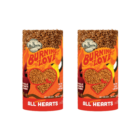 Mr. Bird Burning Love Cylinder Small, spicy bird snack, whole sunflower hearts, fiery-hot, long lasting, year-round feeding.