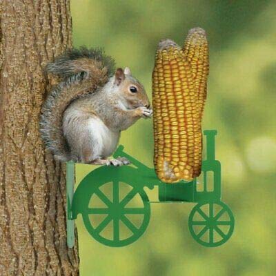Photograph of a gray squirrel perched on a green tractor-shaped corn feeder attached to a tree trunk consuming an ear of corn featuring vibrant yellow kernels and detailed green tractor wheels
