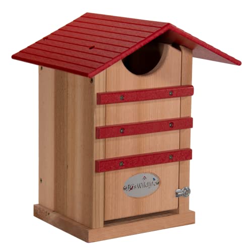 Screech Owl Nest Box | Cedar & Poly Owl House