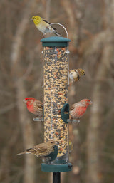 JCS Wildlife