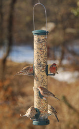 JCS Wildlife
