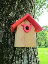Wooden birdhouse with a bright red roof and bird-shaped entryway mounted on a tree in a grassy area featuring a red accent and visible wood grain
