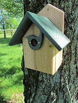 Wooden birdhouse mounted on a tree in a garden featuring a dark green roof a bird-shaped entrance and visible wood grain
