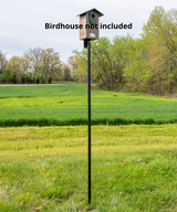 Photograph of a birdhouse on a black metal post in a rural field with vibrant green wheat and a line of trees in the background featuring a partly cloudy sky and dandelion-like seed heads