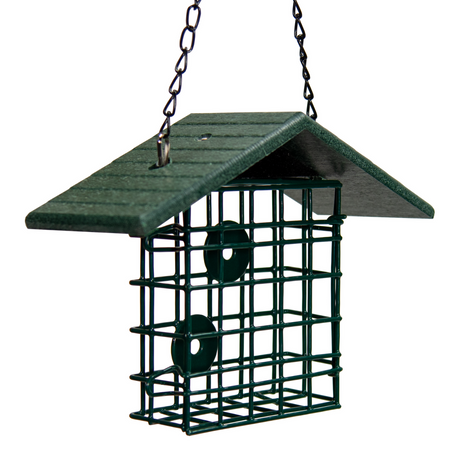 JCS Wildlife Single Suet Cage with Poly Lumber Roof, eco-friendly, sturdy suet feeder with protective roof.