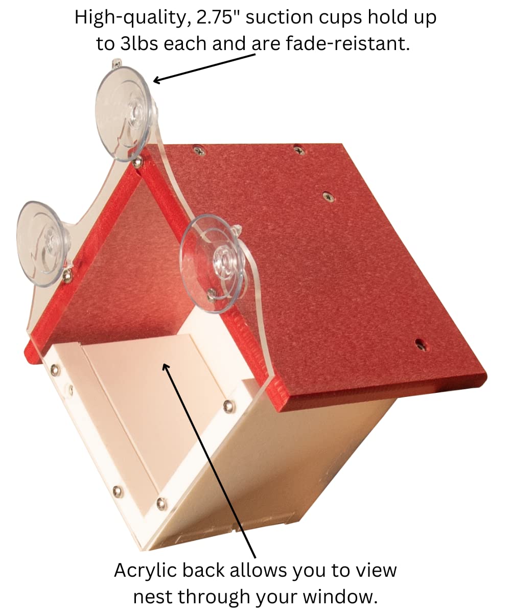 JCS Wildlife Recycled Poly Lumber Window-Mount Wren House with suction cups for easy mounting and acrylic back for viewing.
