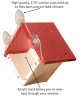 JCS Wildlife Recycled Poly Lumber Window-Mount Wren House with suction cups for easy mounting and acrylic back for viewing.