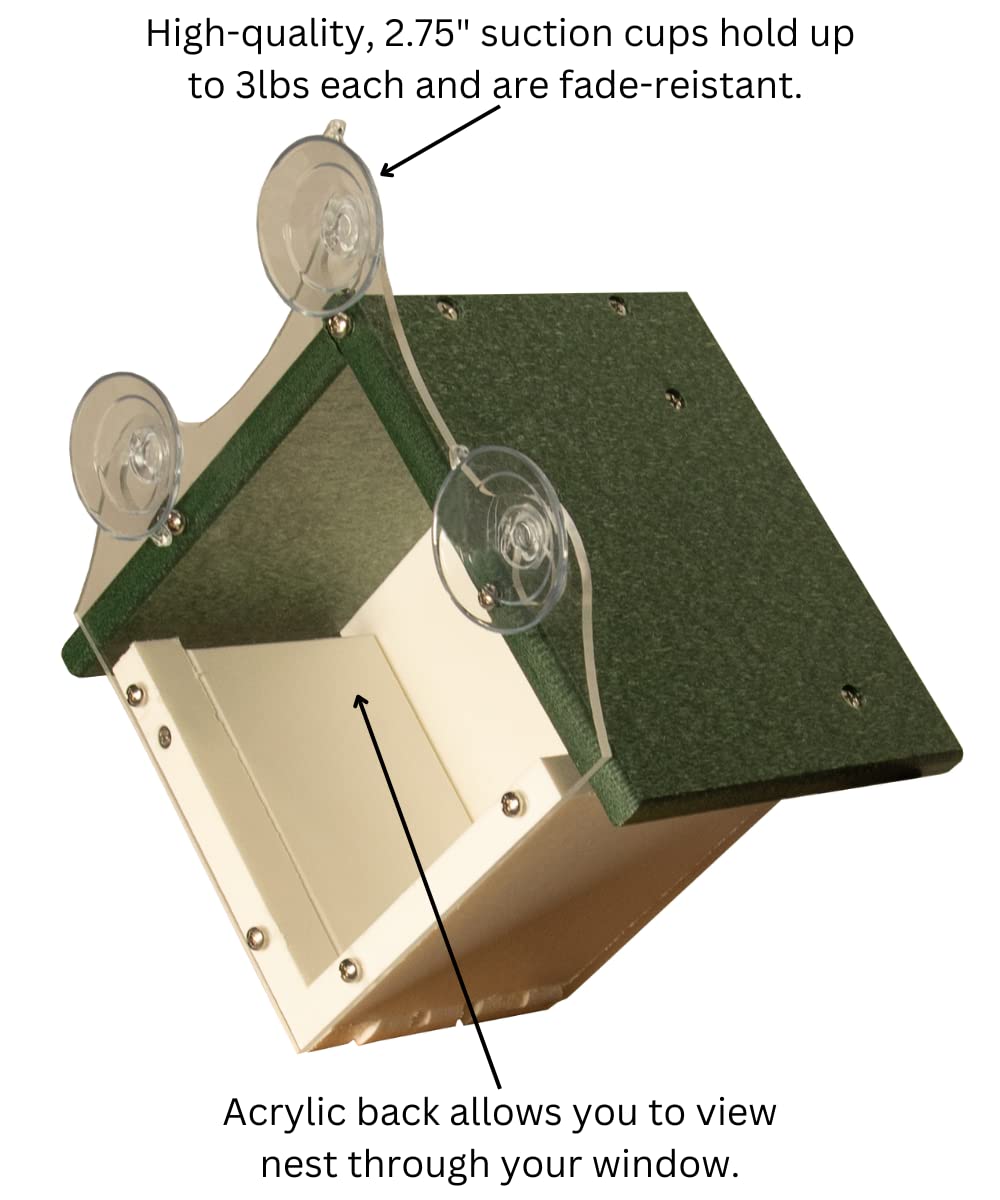 JCS Wildlife Recycled Poly Lumber Window-Mount Wren House with suction cups and acrylic back for easy viewing.