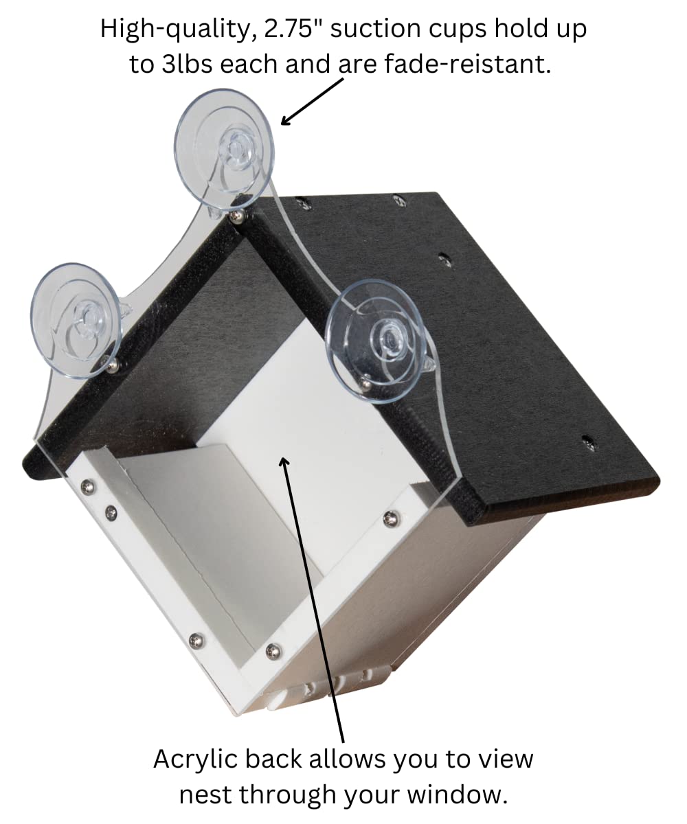 JCS Wildlife Recycled Poly Lumber Window-Mount Wren House with suction cups for easy window mounting and viewing.