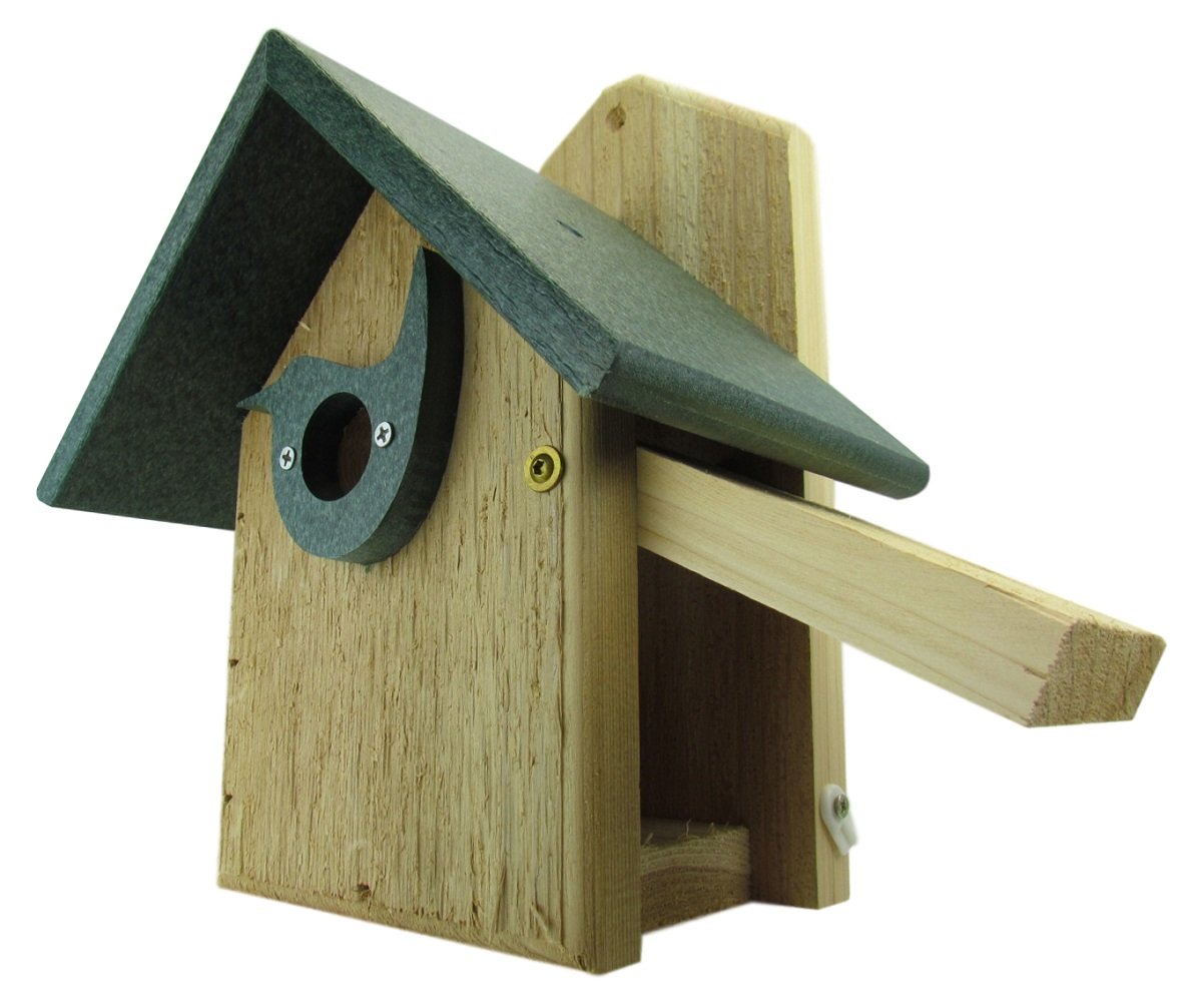 Wooden birdhouse with a dark green roof and a whimsical bird-shaped entrance featuring brass screws and a light wood cleaning tray.
