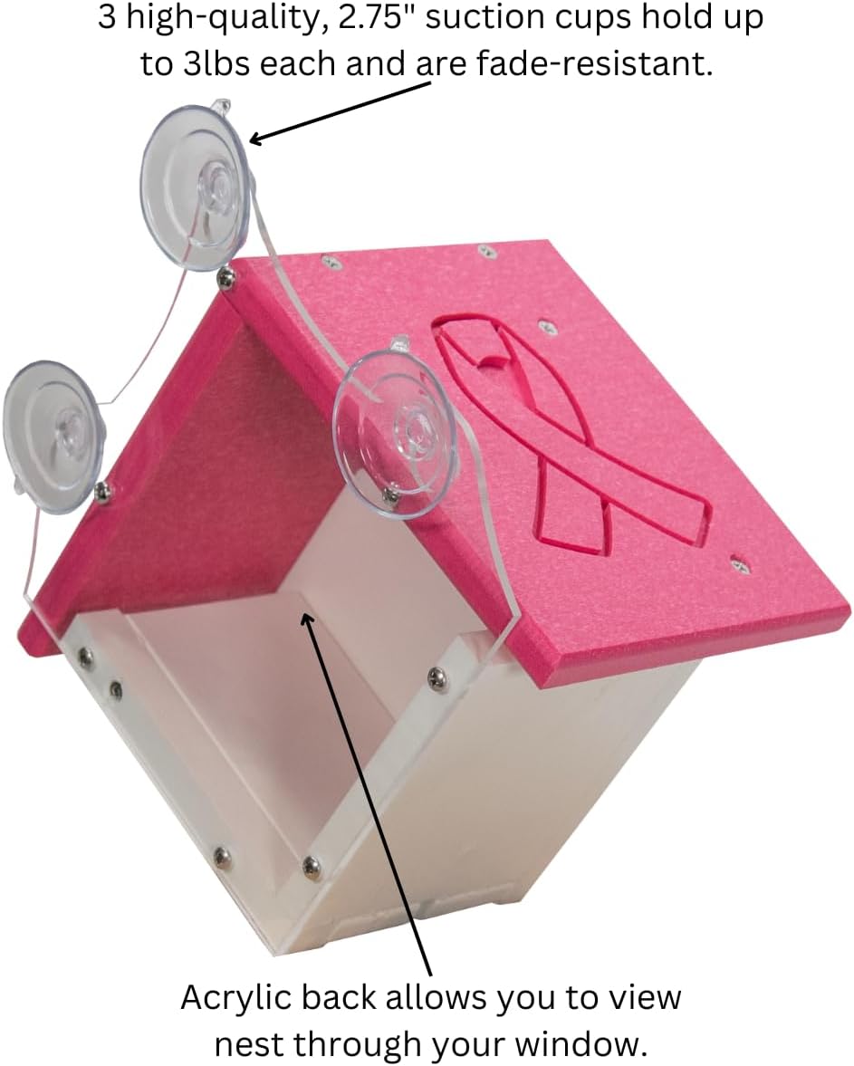 JCS Wildlife Recycled Poly Lumber Window-Mount Wren House with suction cups and acrylic back for viewing nesting.