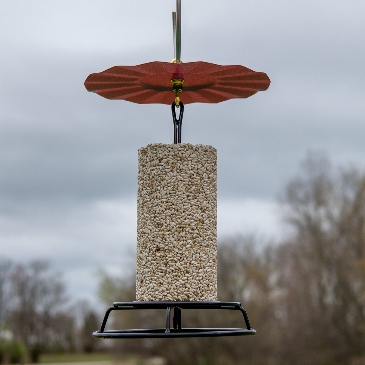 JCS Wildlife