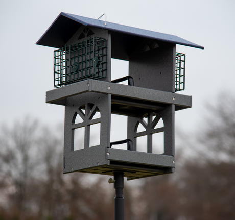 JCS Wildlife Double Fly Thru Bird Feeder with Suet Cages, designed for attracting more birds to your garden.