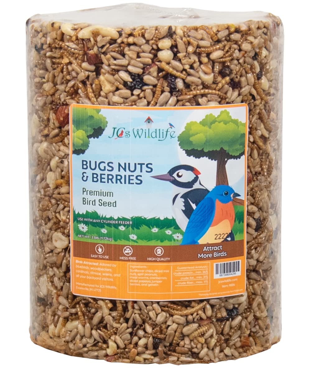 JCS Wildlife Bugs Nuts and Berries Premium Bird Seed in a large cylinder, 3.8 lb, perfect for attracting more birds.