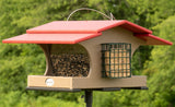 JCS Wildlife
