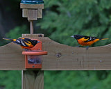 JCS Wildlife