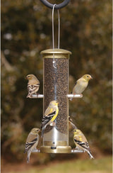 JCS Wildlife