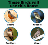 JCS Wildlife