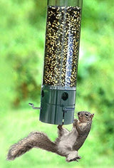 JCS Wildlife