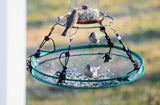 JCS Wildlife