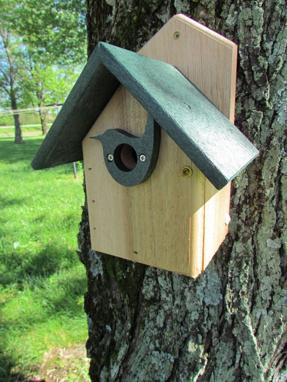 Wooden birdhouse with dark green roof and bird-shaped entrance mounted on a lichen-covered tree in a grassy yard