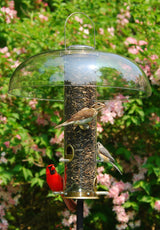 JCS Wildlife