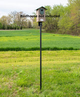 Photograph of a birdhouse mounted on a black metal post in a grassy field with trees and a distant road showcasing vibrant green wheat fields and fluffy dandelion seed heads