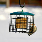 JCS Wildlife