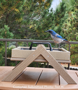 JCS Wildlife