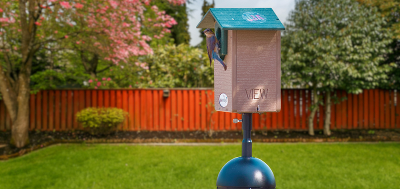 Colorful birdhouse with a blue roof in a lush green garden surrounded by blooming trees.