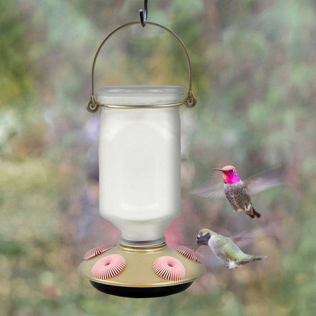 Digital image of a Perky-Pet glass hummingbird feeder with gold accents and pink flowers attracting hummingbirds in a garden setting