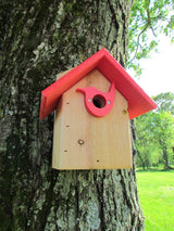 Wooden birdhouse by unknown artist affixed to a moss-covered tree in a park-like setting featuring a bright red roof and bird-shaped entrance hole showcasing a natural green lawn and leafy trees in the background
