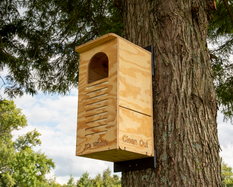 JCs Wildlife wooden birdhouse mounted on a tree trunk in a natural setting featuring an arched entrance, ventilation slots, and Clean Out label
