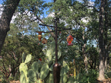 Photograph of a multi-tiered hummingbird feeder with colorful glass and ceramic accents amongst prickly pear cacti and tall oak trees in a garden setting
