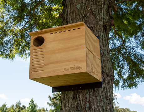 Photograph of a JC's Wildlife wooden birdhouse mounted on a tree featuring a circular entrance hole, ventilation slots, and the JC's Wildlife logo subtly engraved on its light brown surface against a backdrop of lush green trees and a partly cloudy sky
