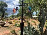 Photograph of a hillside garden featuring a hummingbird feeder, colorful succulents, and a view of a lake and distant mountains with a red speckled hummingbird feeder, a blue glass feeder, and terracotta colored pathway.
