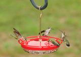 JCS Wildlife