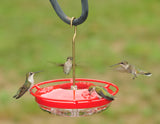 JCS Wildlife