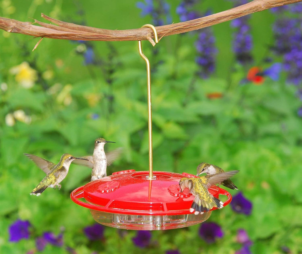 Aspects 367 Hummzinger Ultra Hummingbird Feeder, 12 oz, Red