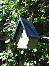 Unknown artist, handcrafted birdhouse hanging from a tree branch in a lush green forest featuring a dark blue roof, beige body, and a ventilation slot