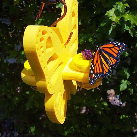 JCS Wildlife