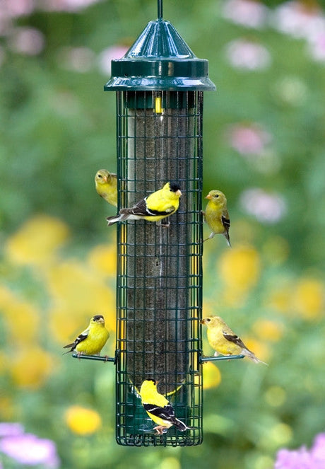 Brome Squirrel Buster Finch Squirrel Proof 1016 Bird Feeder