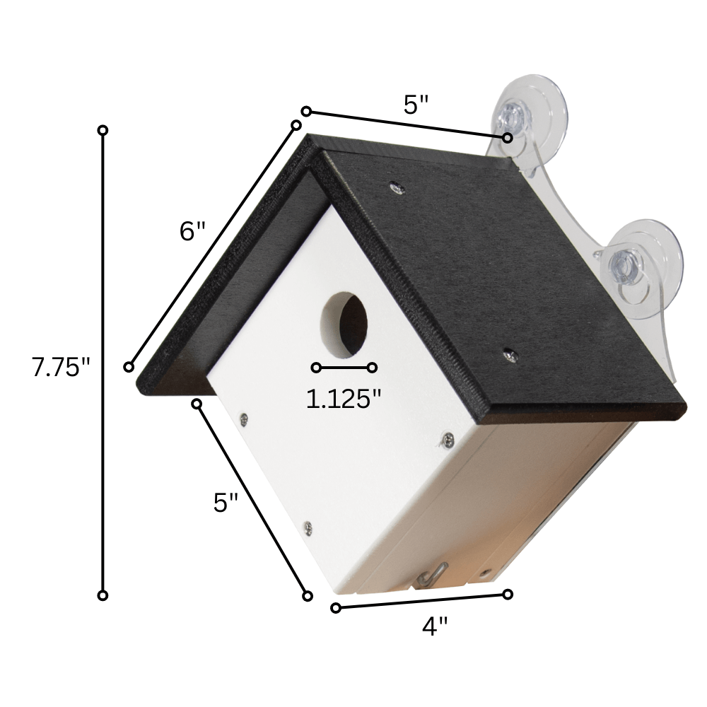 JCS Wildlife Recycled Poly Lumber Window-Mount Wren House dimensions and design features