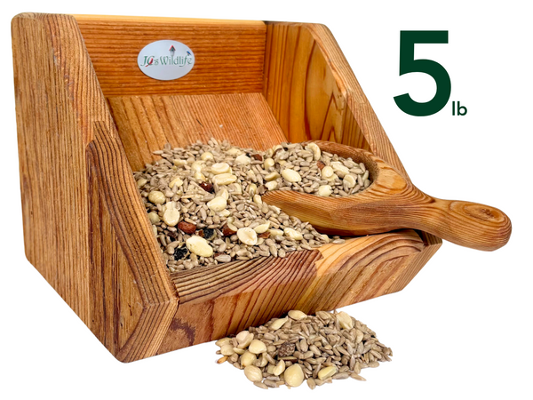 Absolute II Squirrel Proof Bird Feeder | With Pole