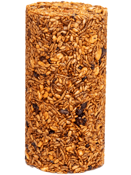 JCS Wildlife Squirrel Stopper Bugs Nuts & Berries Small Cylinder 1.5lbs, made with seeds, tree nuts, and fruits.