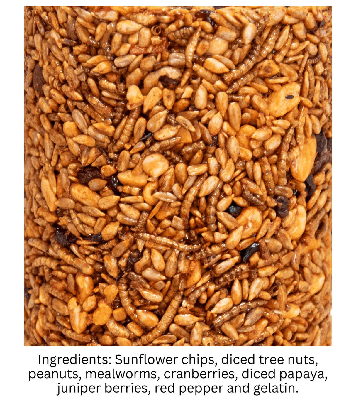 JCS Wildlife Squirrel Stopper Bugs Nuts & Berries 1.5lbs small cylinder with sunflower chips and tree nuts.