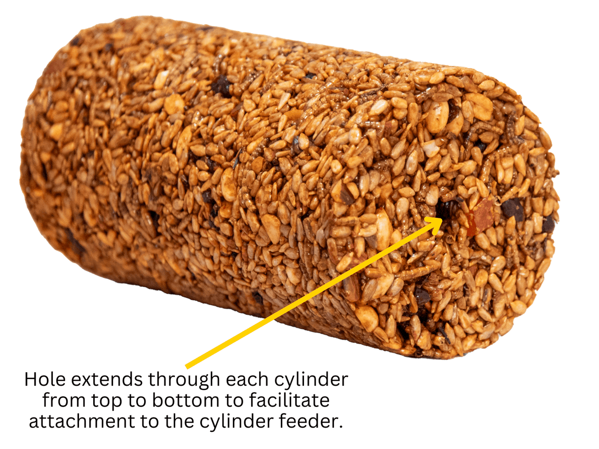 JCS Wildlife Squirrel Stopper Bugs Nuts & Berries small cylinder with a hole for feeder attachment.