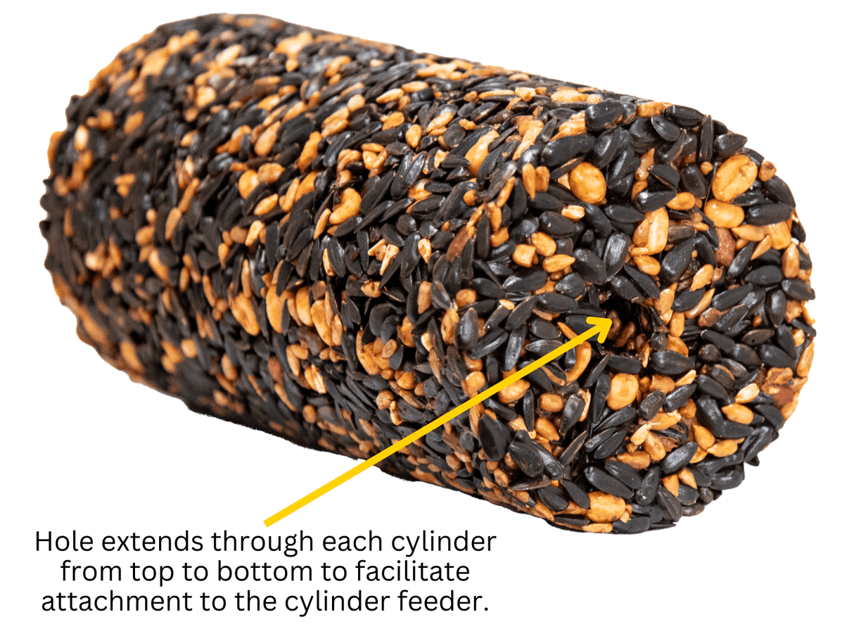 JCS Wildlife Squirrel Stopper Wild Bird Feast Small Cylinder showcasing seeds and hole for easy feeder attachment.
